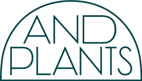 AND PLANTS(観葉植物オンラインストア)